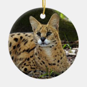 Afrikanische Serval-Weihnachtsverzierung Keramikornament
