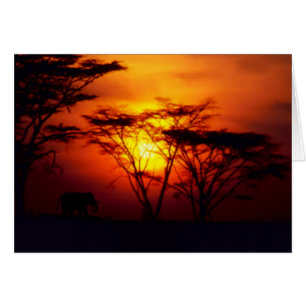 Afrikanische Sunset Card