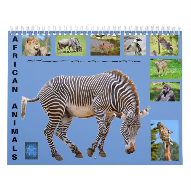 Afrikanische Tiere 12 Monate Kalender (Titelbild)