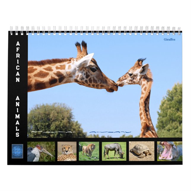 Afrikanische Tiere 12 Monate Kalender (Titelbild)