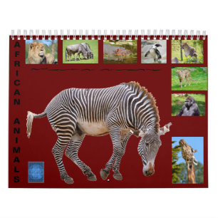 Afrikanische Tiere 12 Monate Kalender