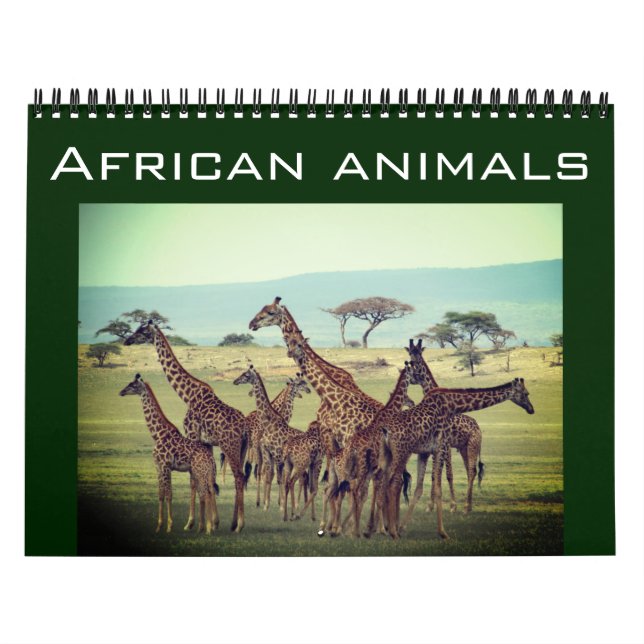 afrikanische Tiere 2025 Kalender (Titelbild)