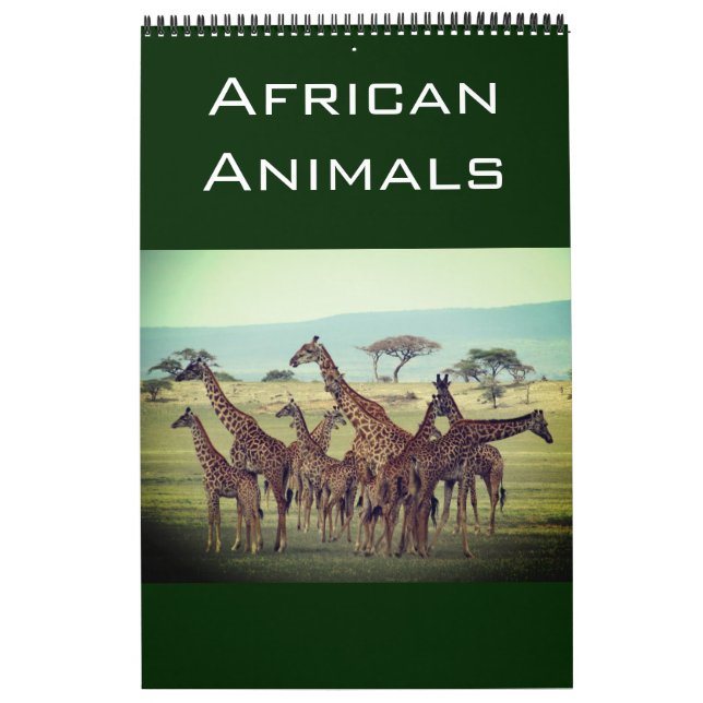 afrikanische Tiere 2025 Kalender (Titelbild)