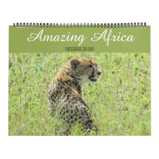 afrikanische Tiere 2027 großer Kalender