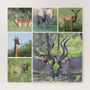 afrikanische Tiere Puzzle