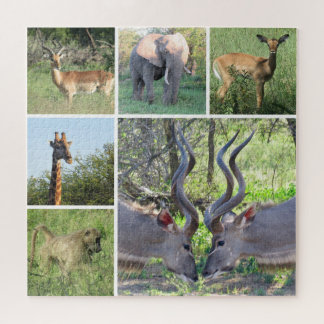afrikanische Tiere Puzzle