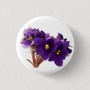 Afrikanische Violet Button