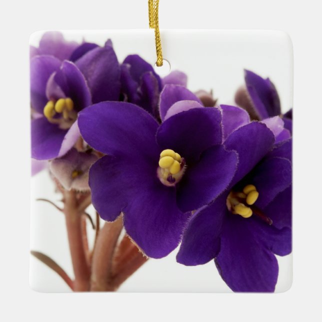 Afrikanische Violet Keramikornament (Vorderseite)