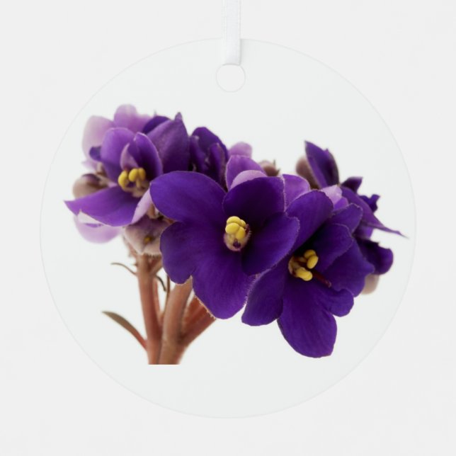 Afrikanische Violet Ornament Aus Metall (Vorderseite)