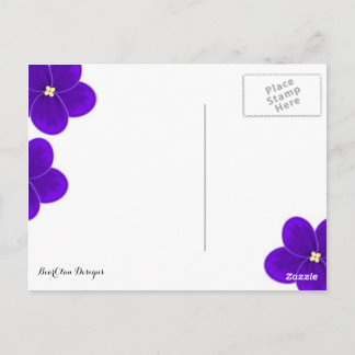 Afrikanische Violet Postkarte