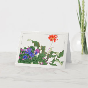 Afrikanische Violette Gerbera von Tanigami Konan Karte