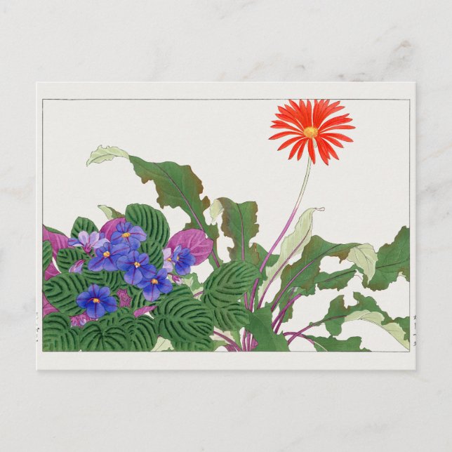 Afrikanische Violette Gerbera von Tanigami Konan Postkarte (Vorderseite)
