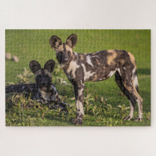 Afrikanische Wildhunde in Tansania Puzzle