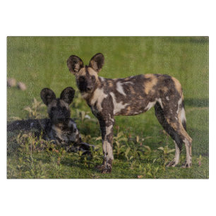 Afrikanische Wildhunde in Tansania Schneidebrett