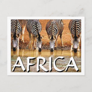 AFRIKANISCHE ZEBRA - (Mojisola Onifade) Postkarte