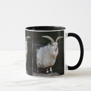 Afrikanische Zwergziege Tasse