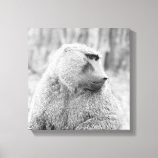 Afrikanischer Baboon Leinwanddruck