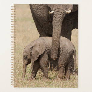 Afrikanischer Baby-Elefant mit Mutter Planer