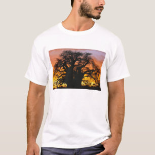 Afrikanischer Baobab, Adansonia digitata, T-Shirt