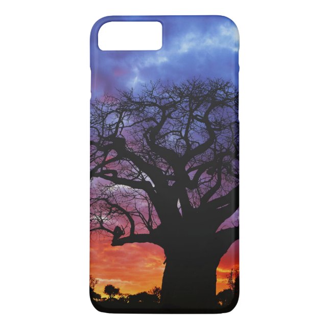 Afrikanischer Baobab-Baum, Adansonia digitata, 2 Case-Mate iPhone Hülle (Rückseite)
