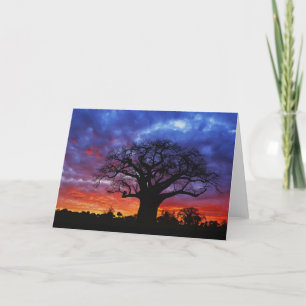 Afrikanischer Baobab-Baum, Adansonia digitata, 2 Karte