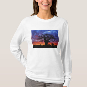 Afrikanischer Baobab-Baum, Adansonia digitata, 2 T-Shirt