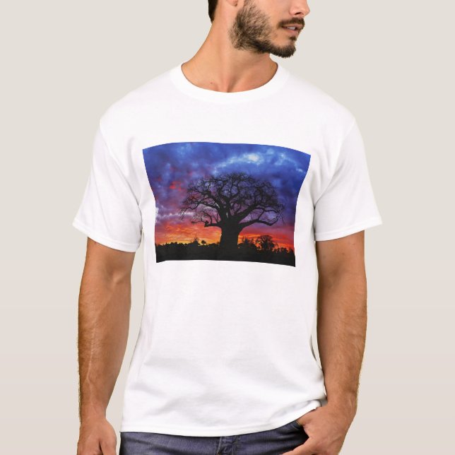 Afrikanischer Baobab-Baum, Adansonia digitata, 2 T-Shirt (Vorderseite)