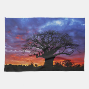Afrikanischer Baobabbaum, Adansonia digitata, 2 Küchentuch