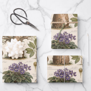 "Afrikanischer Botanischer Atlas Geschenkpapier Set