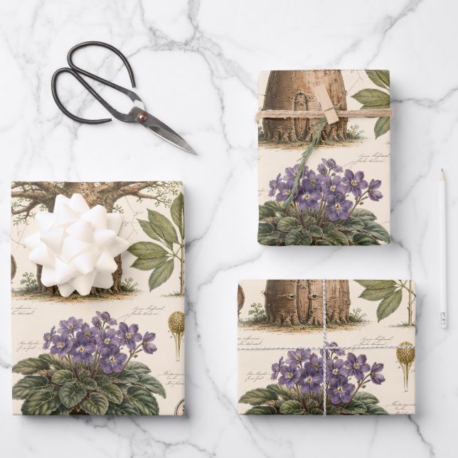 "Afrikanischer Botanischer Atlas  Geschenkpapier Set (Vorderseite)