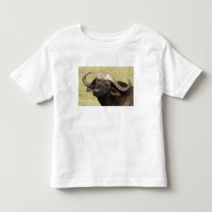 Afrikanischer Büffel, Syncerus caffer Kleinkind T-shirt