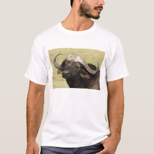Afrikanischer Büffel, Syncerus caffer T-Shirt