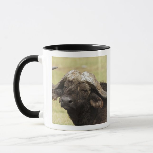 Afrikanischer Büffel, Syncerus caffer Tasse (Links)
