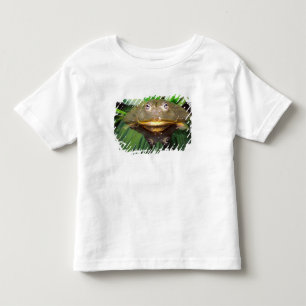 Afrikanischer Burrowing Bullfrog, Pyxicephalus 2 Kleinkind T-shirt