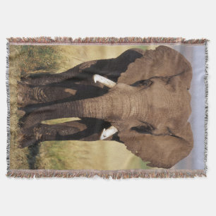 Afrikanischer Busch-Elefant Decke