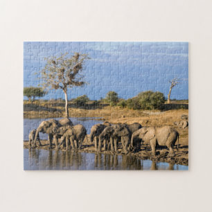 Afrikanischer Busch-Elefant (Loxodonta Africana) H Puzzle