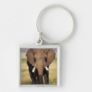 Afrikanischer Busch-Elefant Schlüsselanhänger