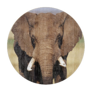 Afrikanischer Busch-Elefant Schneidebrett