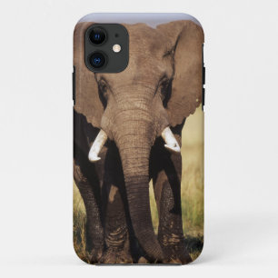 Afrikanischer Buschelefant Case-Mate iPhone Hülle