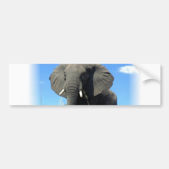 Afrikanischer Elefant-Autoaufkleber Autoaufkleber (Vorne)