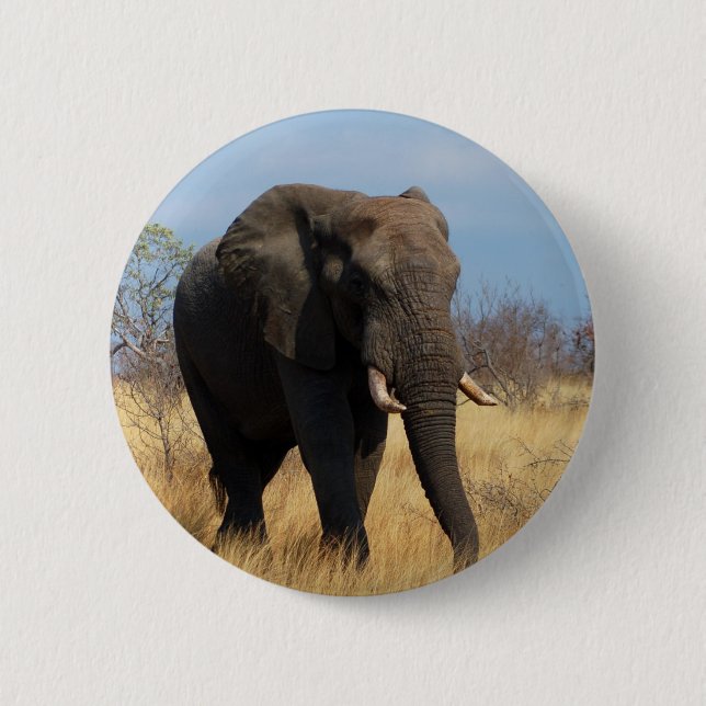 Afrikanischer Elefant Button (Vorderseite)