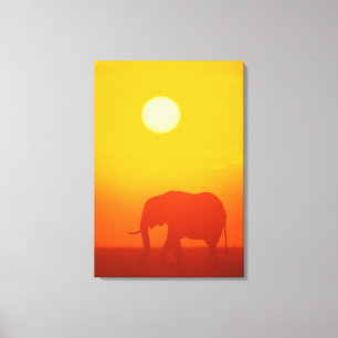 Afrikanischer Elefant, der am Sonnenuntergang Leinwanddruck