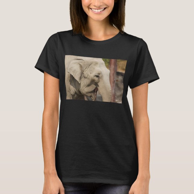Afrikanischer Elefant Digital Art Kinderkind T - S T-Shirt (Vorderseite)