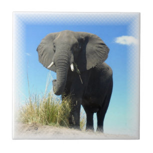 Afrikanischer Elefant-Fliese Fliese