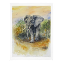 Afrikanischer Elefant Fotodruck