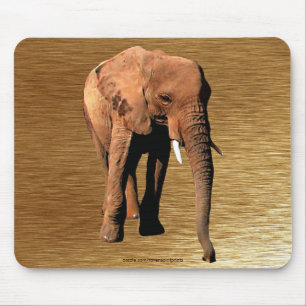 Afrikanischer Elefant für Wildlife Supporter Mouse Mousepad