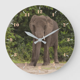 Afrikanischer Elefant Große Wanduhr