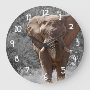 Afrikanischer Elefant Große Wanduhr