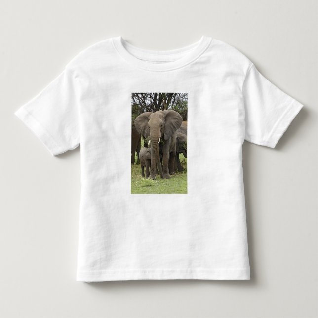 Afrikanischer Elefant | Herde Kleinkind T-shirt (Vorderseite)