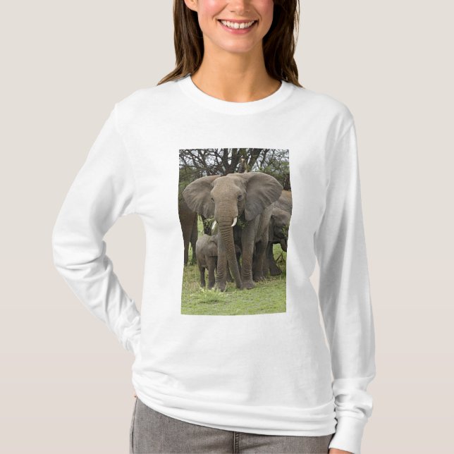 Afrikanischer Elefant | Herde T-Shirt (Vorderseite)